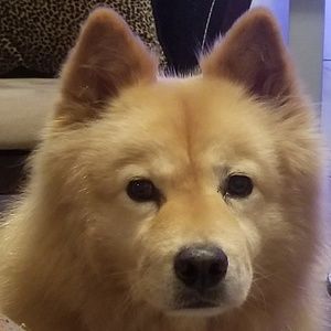 Meet your Posher, Stacie